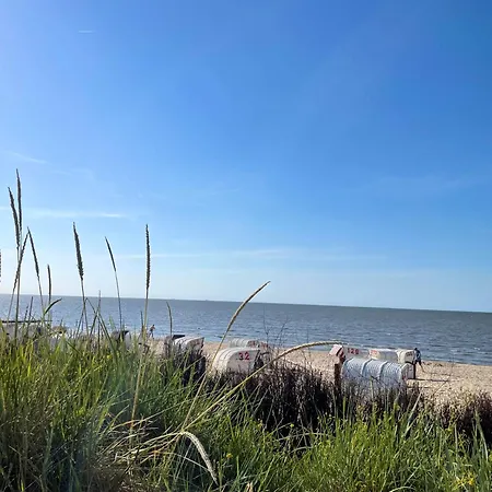 Ingeborg Da25 2 Li Og *