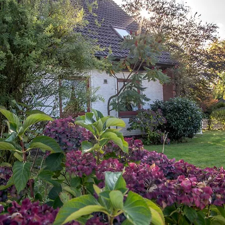 Lägenhet Ingeborg Da25 2 Li Og *